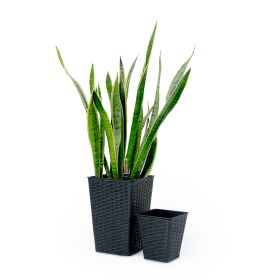 2-Pack Smart Self-watering Square Planter for Indoor and Outdoor - Hand Woven Wicker - Espresso (Color: as Pic)
